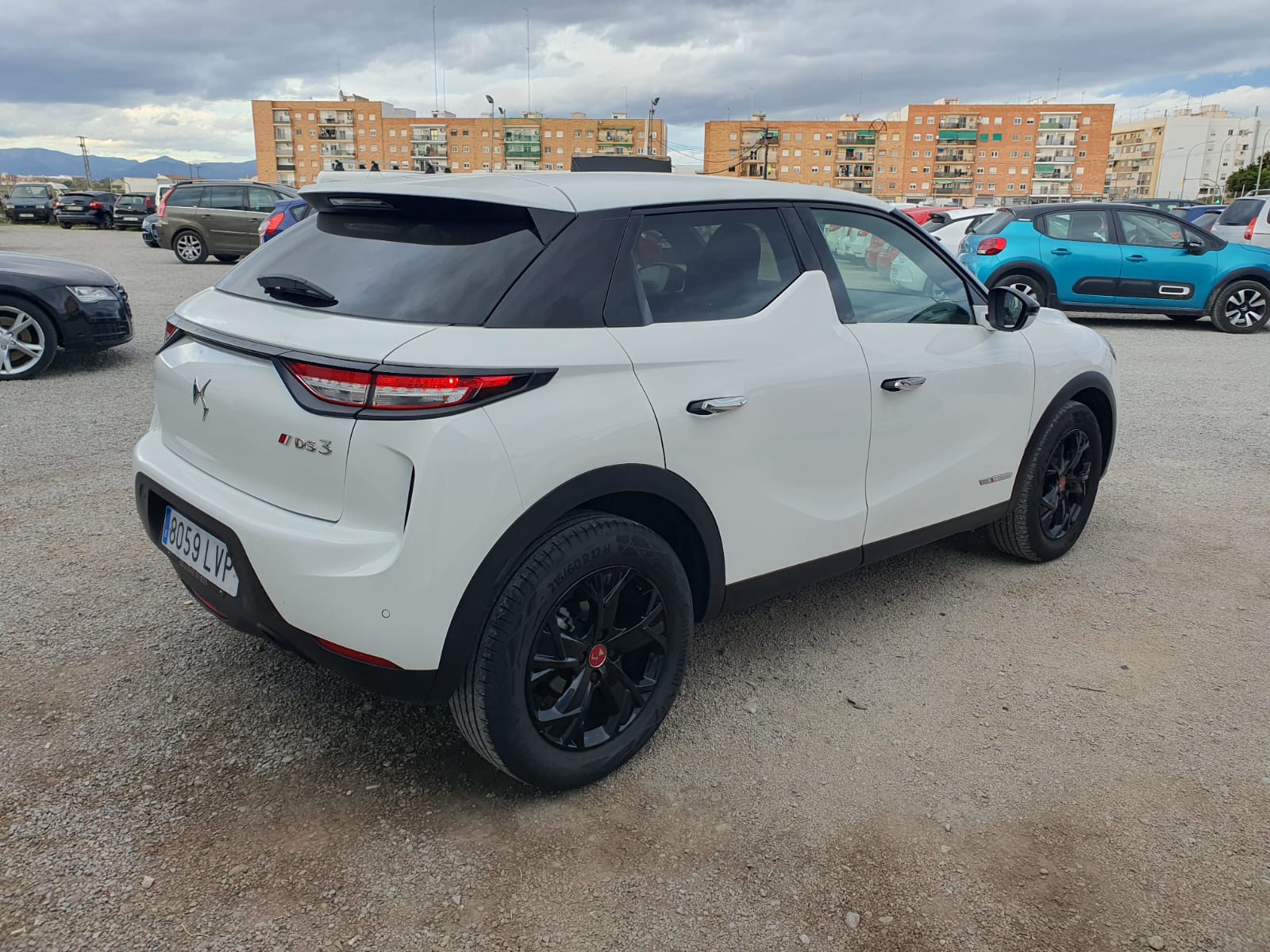 Whatsapp image 2025 11 24 at 18.07.52