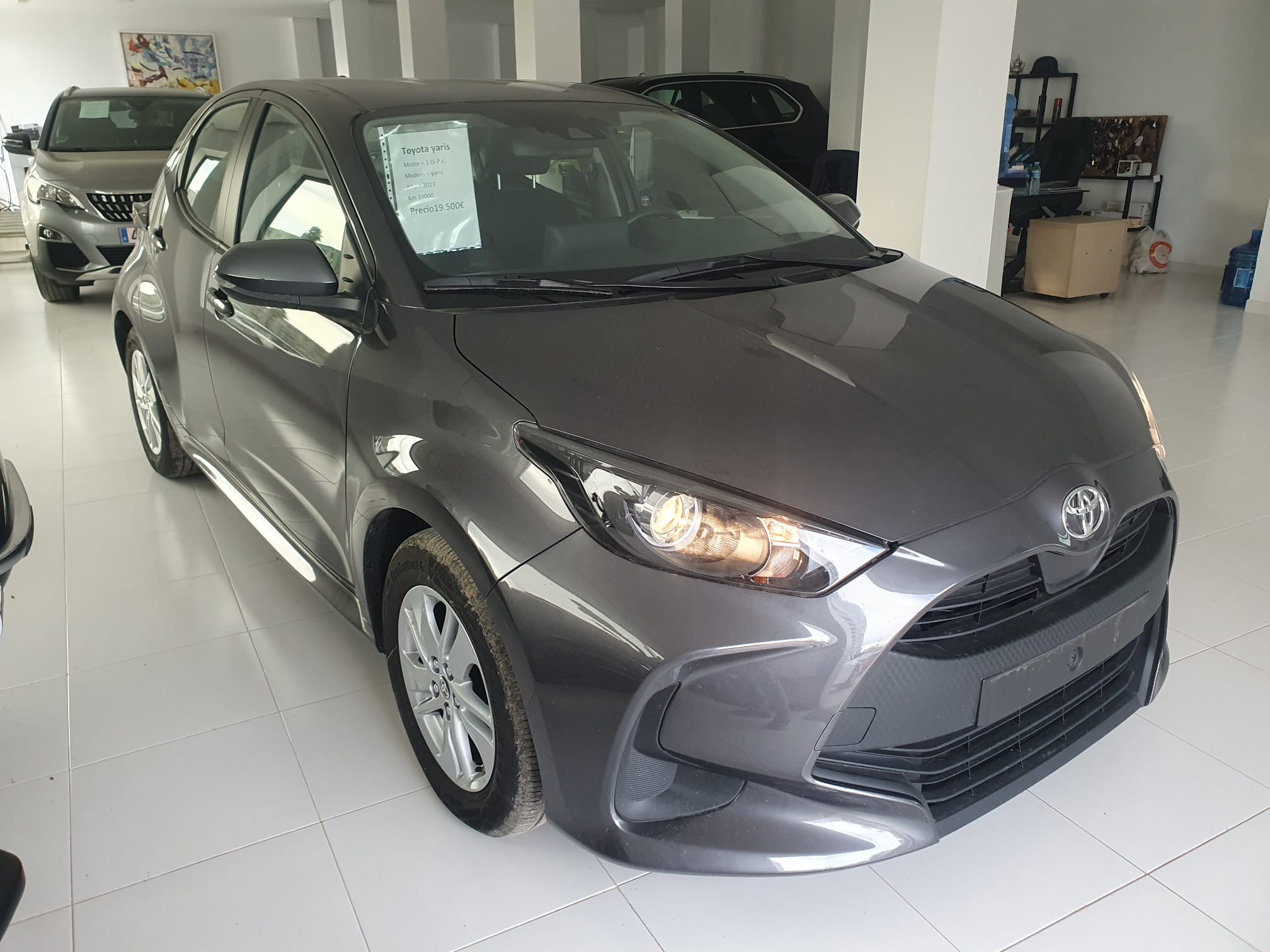 WhatsApp Image 2026 02 11 at 11.00.05