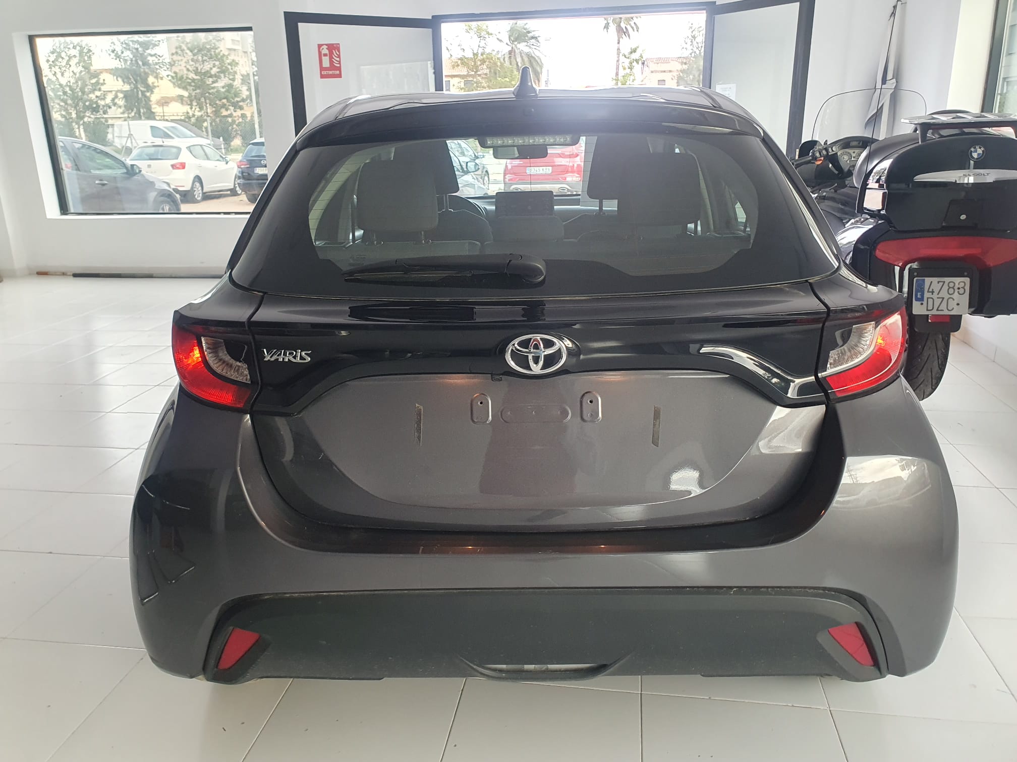 WhatsApp Image 2026 02 11 at 11.00.07