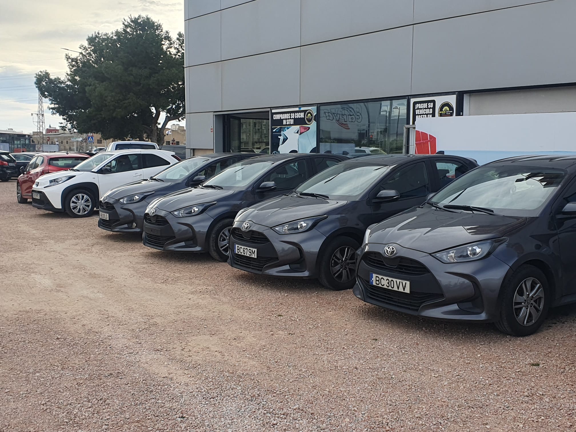 WhatsApp Image 2026 02 11 at 11.00.16 (1)