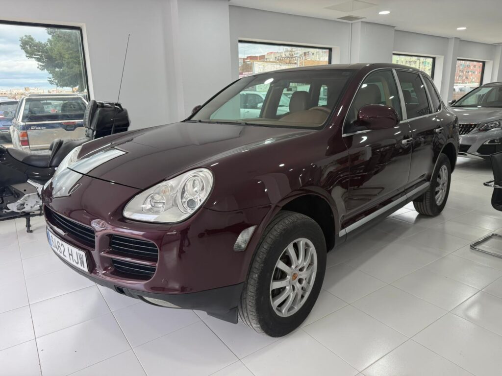 WhatsApp Image 2026 02 11 at 16.24.01 (2)