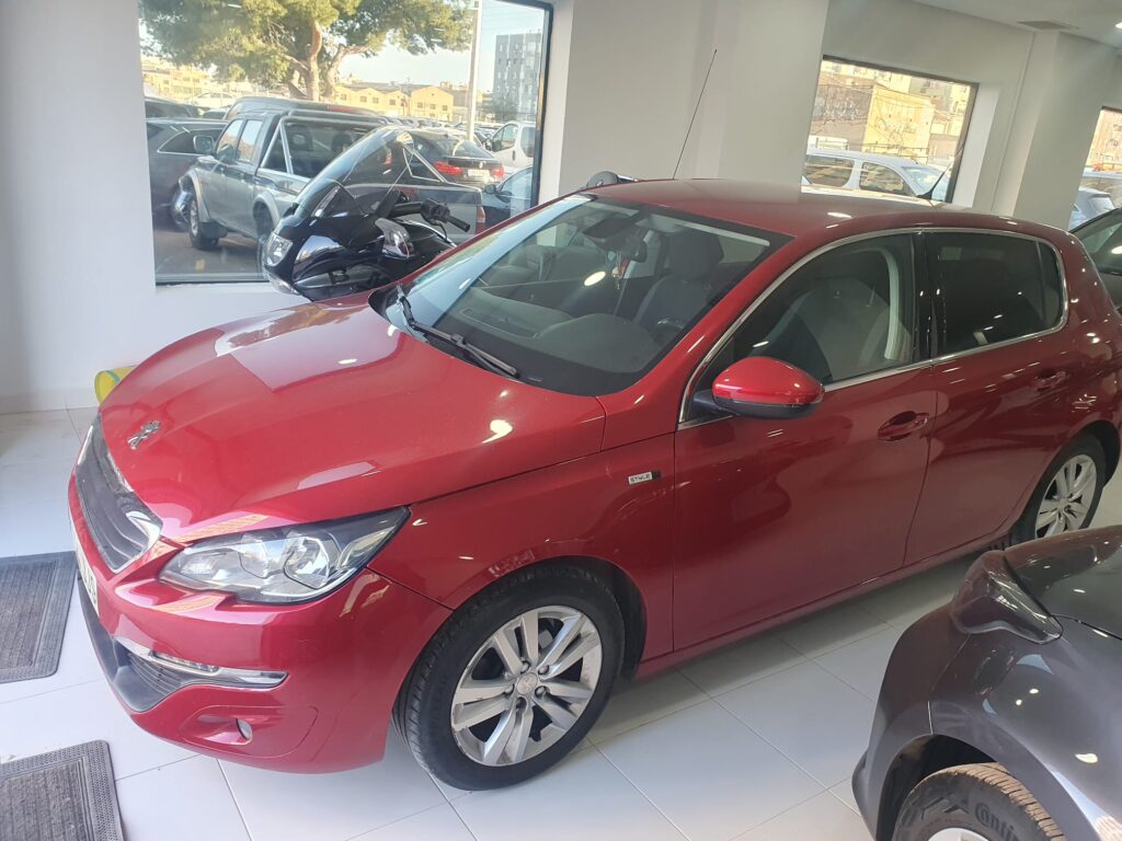 WhatsApp Image 2026 02 12 at 16.54.53