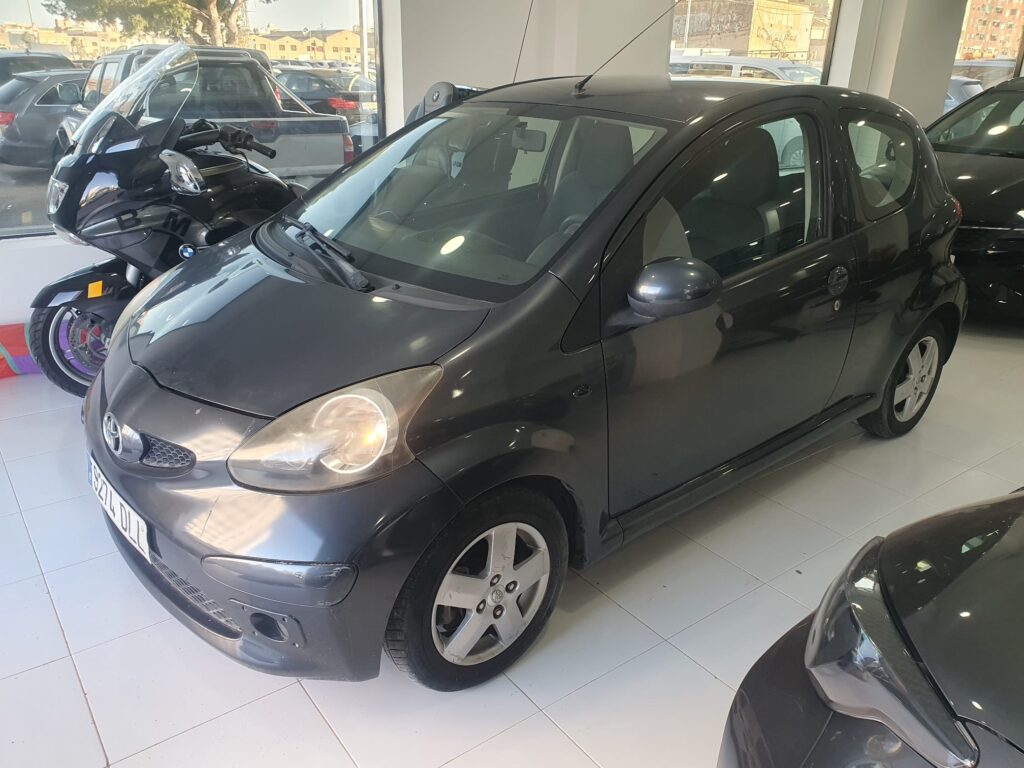 WhatsApp Image 2026 02 12 at 16.55.35