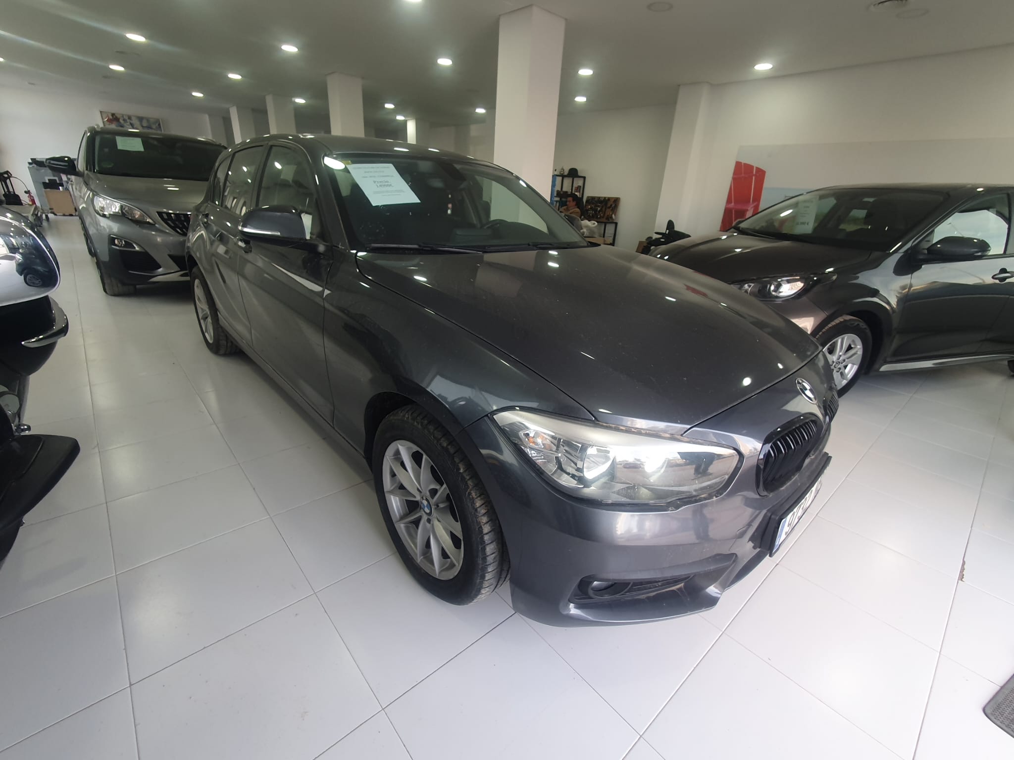 WhatsApp Image 2026 02 16 at 17.14.01 (2)