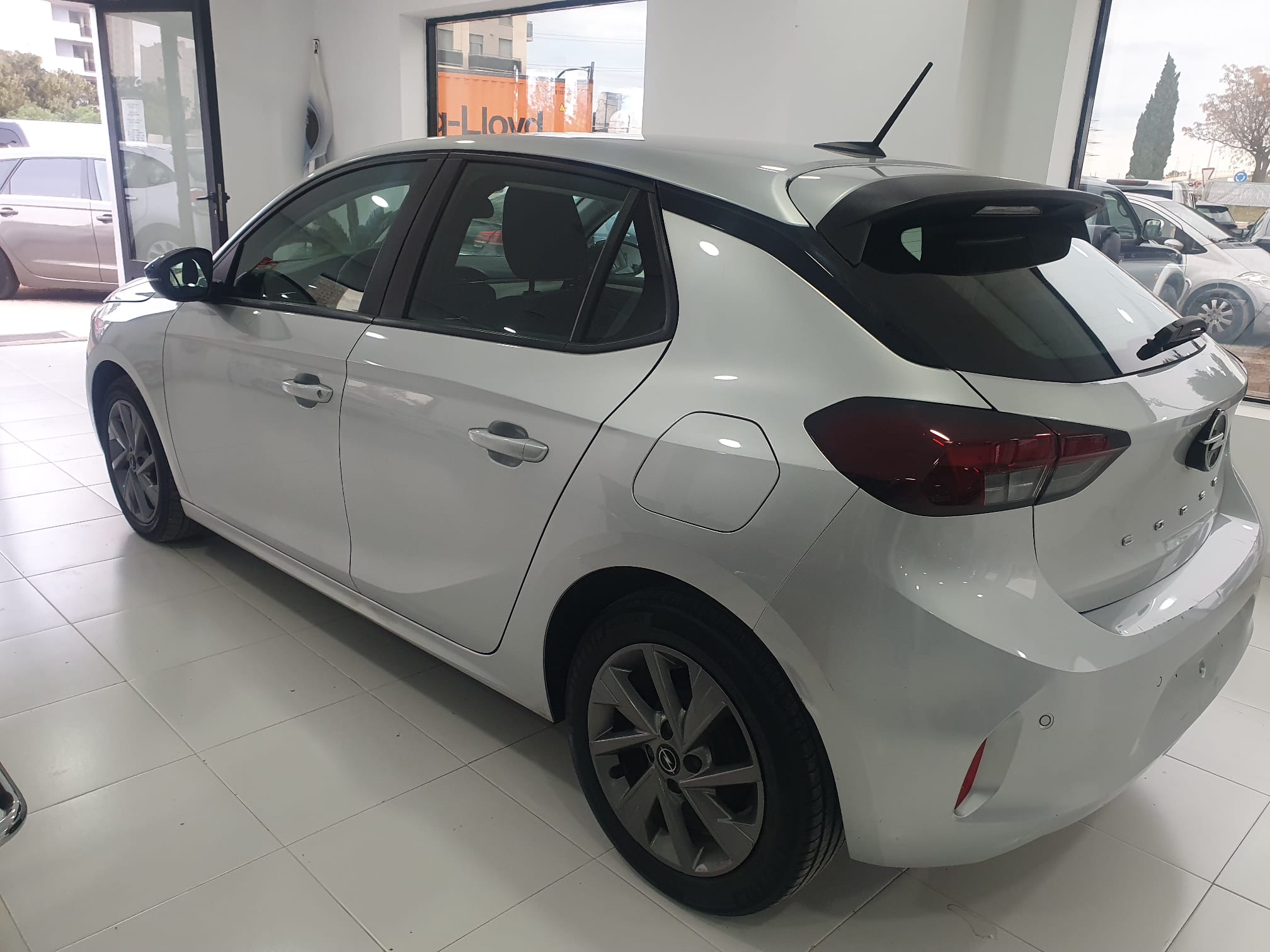 WhatsApp Image 2026 03 09 at 17.54.02