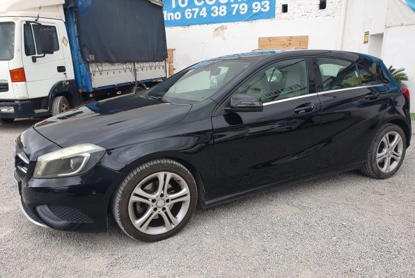 WhatsApp Image 2025-09-10 at 10.51.56