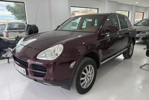 WhatsApp Image 2026 02 11 at 16.24.01 (2)