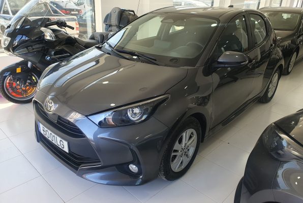 WhatsApp Image 2026 02 12 at 12.48.44